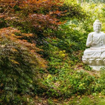 Buddha in the Japanese Garden