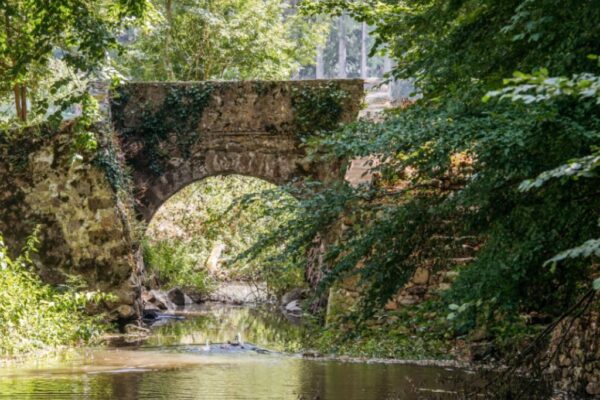 our private gardens include a river which is home to swans and other bird life