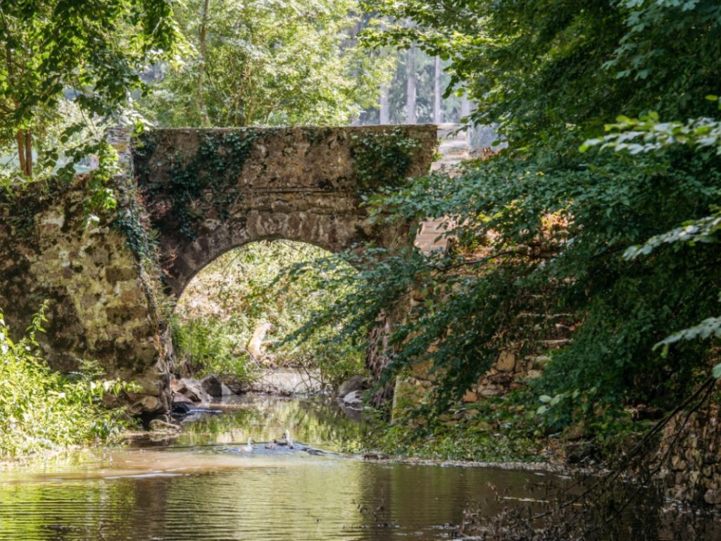 our private gardens include a river which is home to swans and other bird life