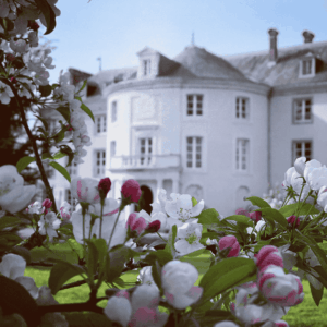 Chateau de Vezins book your next holiday or vacation here