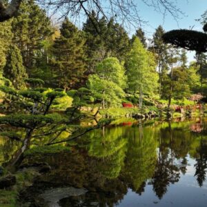 At Parc Oriental de Maulévrier, you’ll find Europe’s largest Japanese garden