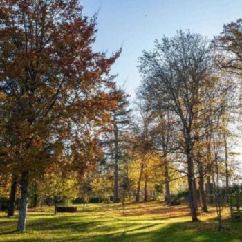 Chateau de Vezins grounds which leads towards the forest