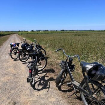 bicycle through the Loire Valley wine lands